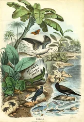 Page de titre, 1863-79